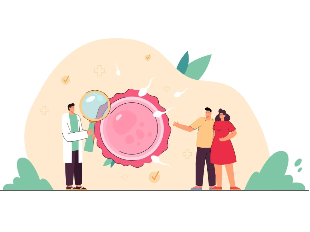 Embryo transfer procedure in fertility treatment, placing a healthy embryo in the uterus for pregnancy success.